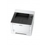 KYOCERA ECOSYS P2235dw/KL3 1200 x 1200 DPI A4 Wi-Fi (870B61102RW3NLX)