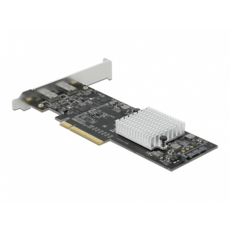 DeLOCK 89011 scheda di interfaccia e adattatore Interno USB 3.2 Gen 1 (3.1 Gen 1) (89011)
