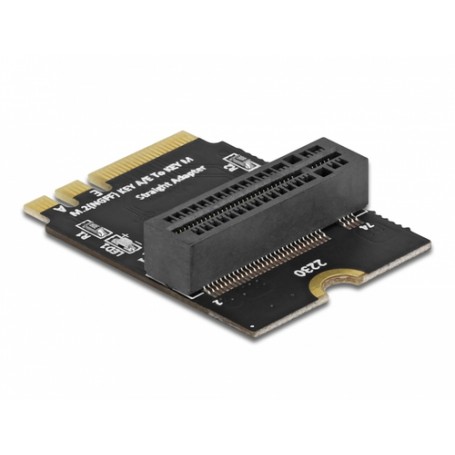 DeLOCK 64137 scheda di interfaccia e adattatore Interno M.2 (64137)