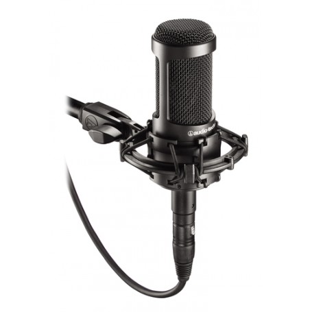 Audio-Technica AT2035 microfono (AT2035)