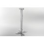 Celexon 1090283 supporto per proiettore Soffitto Bianco (1090283)