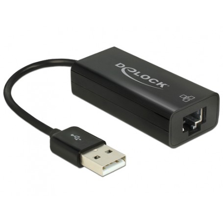 DeLOCK 62595 scheda di rete e adattatore Ethernet 100 Mbit/s (62595)