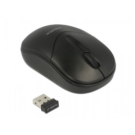DeLOCK 12494 mouse Ambidestro RF Wireless Ottico 1000 DPI (12494)
