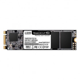 Team Group MS30 M.2 1000 GB Serial ATA III (TM8PS7001T0C101)