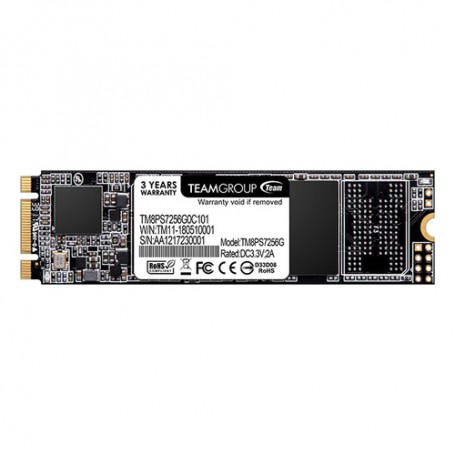 Team Group MS30 M.2 256 GB Serial ATA III (TM8PS7256G0C101)