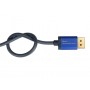 Alcasa 4814-SF020B cavo DisplayPort 2 m Blu (4814-SF020B)