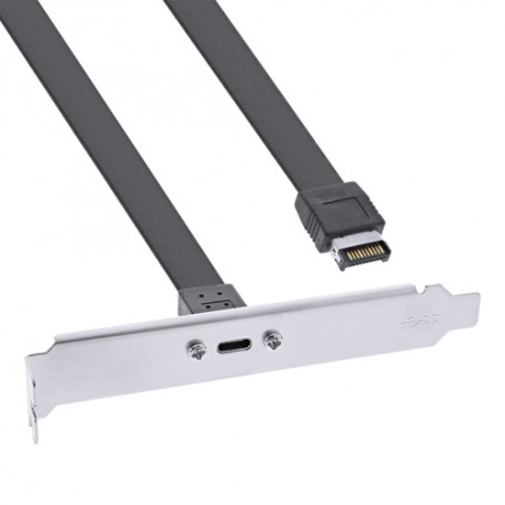 InLine 33446G scheda di interfaccia e adattatore USB 3.2 Gen 2 (3.1 Gen 2) (33446G)