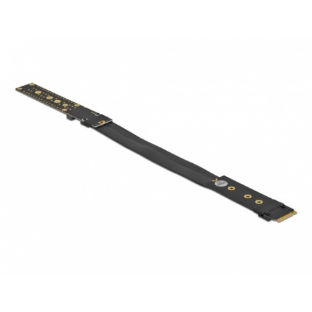 DeLOCK 64136 scheda di interfaccia e adattatore Interno M.2 (64136)