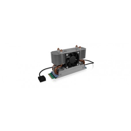 ICY BOX IB-M2HSF-702 Argento (60730)