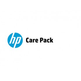 Hewlett Packard Enterprise U2AG4E servizio di supporto IT (U2AG4E)