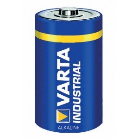 Varta 04020211111 Batteria monouso D Alcalino (04020211111)