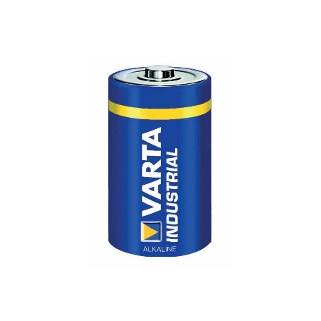 Varta 04020211111 Batteria monouso D Alcalino (04020211111)