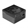 Fractal Design Ion+ 2 Platinum 660W alimentatore per computer 20+4 pin ATX ATX Nero (FD-P-IA2P-660-EU)