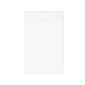 CF100 BUSTE PORTA AVVISI A7 (2296-19)