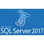 Microsoft SQL Server 2017 Standard 1 licenza/e (228-11135)