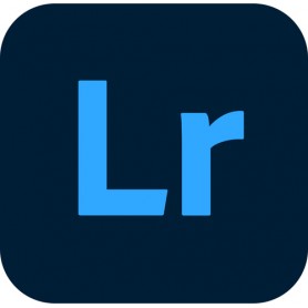 Adobe Lightroom W Classic For Enterprise 1 licenza/e Rinnovo Inglese (65296079BA14A12)