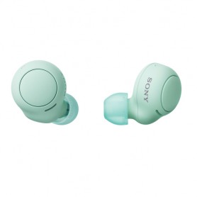 Sony WF-C500 Auricolare In-ear Musica e Chiamate (WFC500G.CE7)