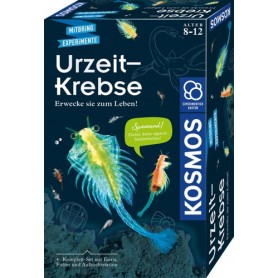 Kosmos 65787 (657871)