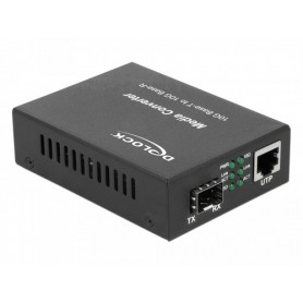 DeLOCK 86439 convertitore multimediale di rete (86439)