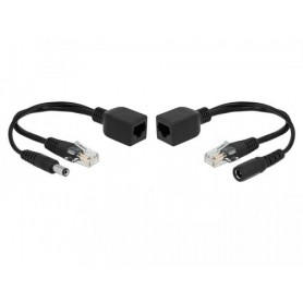 DeLOCK 66023 adattatore PoE e iniettore Fast Ethernet (66023)