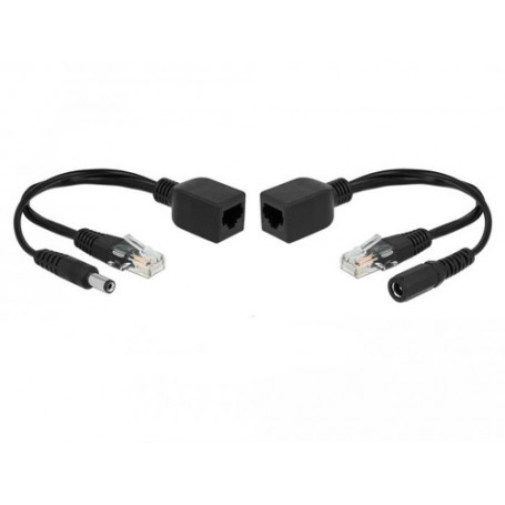 DeLOCK 66023 adattatore PoE e iniettore Fast Ethernet (66023)