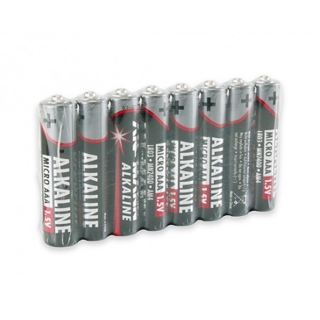 Ansmann 5015360 batteria per uso domestico Batteria monouso Alcalino (5015360)