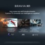 Sony XR-65A80J 165,1 cm (65") Wi-Fi (FWD-65A80J)