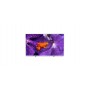 Philips 75HFL6114U/12 TV 190,5 cm (75") 4K Ultra HD Smart TV Wi-Fi Argento (75HFL6114U/ 12)