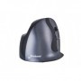 BakkerElkhuizen BNEEVRDSW mouse Mano destra RF Wireless 3200 DPI (BNEEVRDSW)