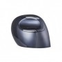 BakkerElkhuizen BNEEVRDSW mouse Mano destra RF Wireless 3200 DPI (BNEEVRDSW)