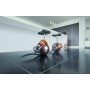 Dyson Cinetic Big Ball Multifloor 2 Aspirapolvere con filo Senza Sacco (230278-01) (230278-01_PROMO)