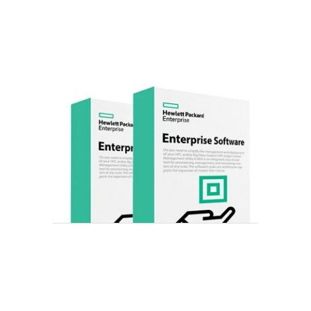 Hewlett Packard Enterprise StoreEver MSL3040 KMIP Key Manager E-LTU Base 1 licenza/e Licenza (Q8K98AAE)