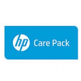 Hewlett Packard Enterprise 1y PW CTR DMR STORVIR 4530 2TB FC (U4XM6PE)